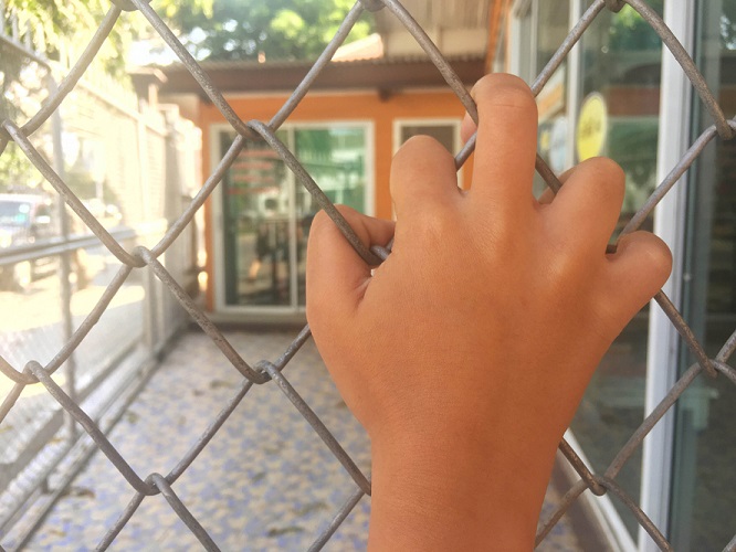 Family Separations and Detentions at the Border