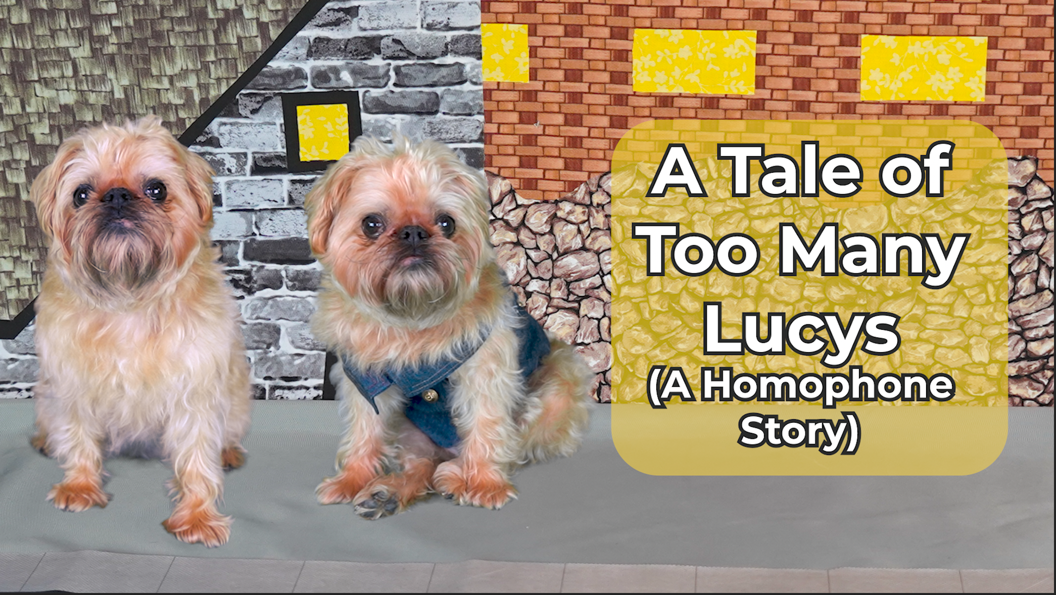 To, Two, and Too a Homophone Lesson for Kids