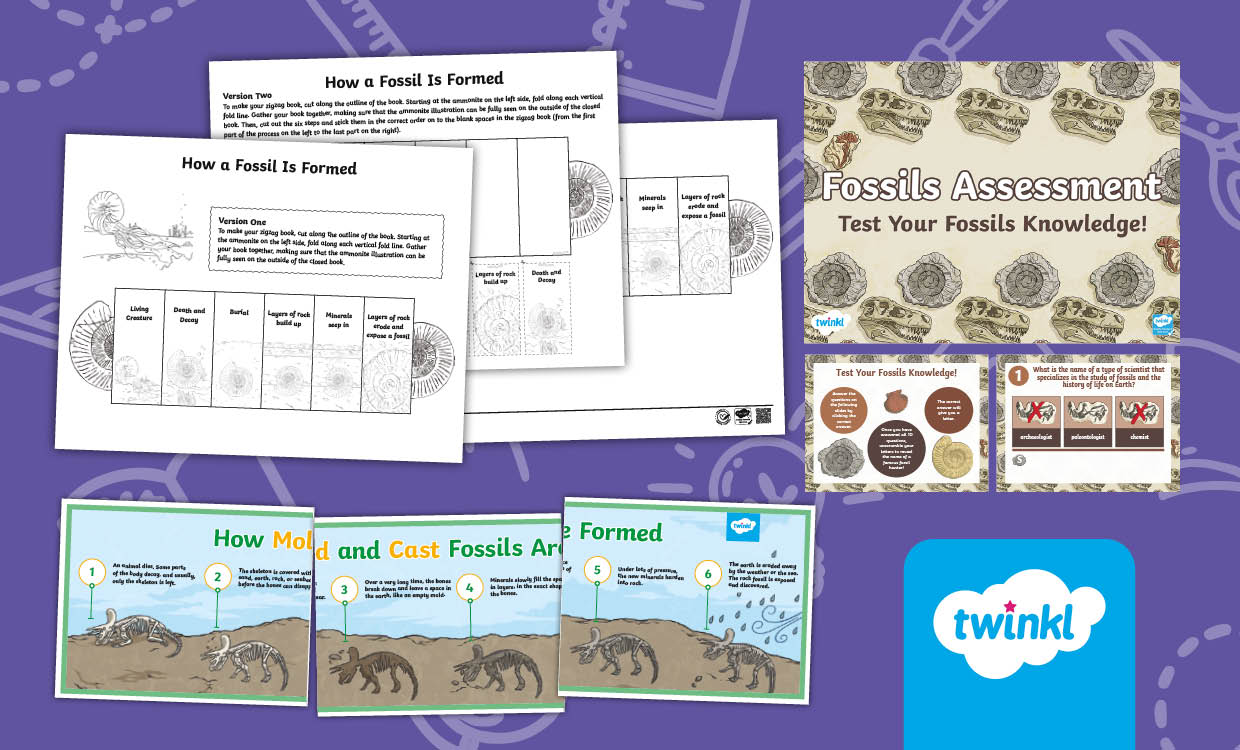 Fossils Lesson for 3rd-5th Grade