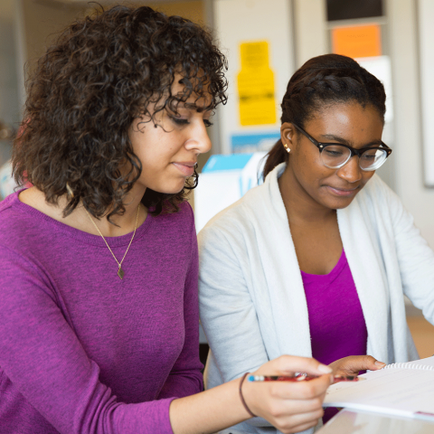 DIVERSITY AND INCLUSION MODULE