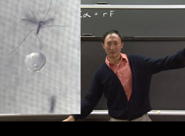 ‪How Mosquitoes Fly in the Rain‬