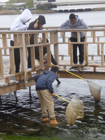 Eco-Schools USA at Home: Watersheds, Oceans and Wetlands (WOW)