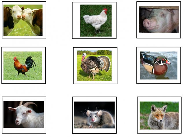 Farm Animal Alliteration ECE