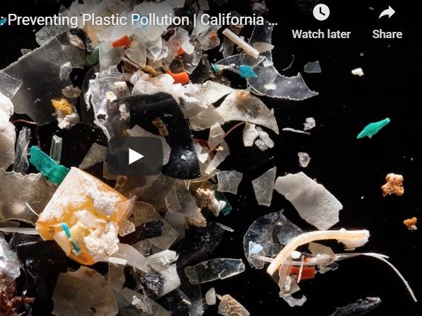 Video: Preventing Plastic Pollution