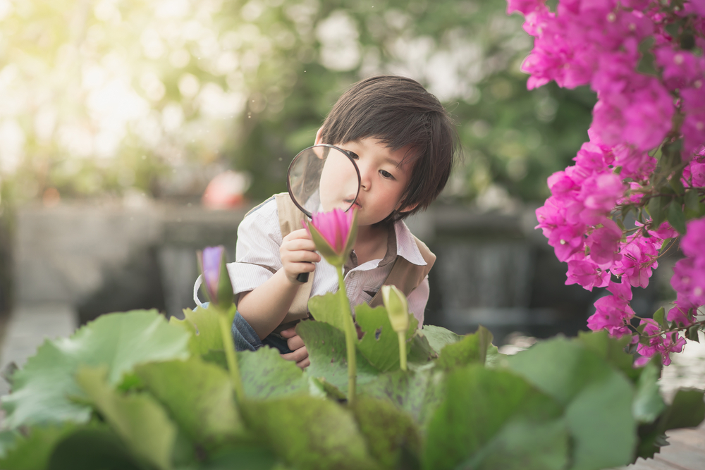 Metacognition: Learning about Learning
